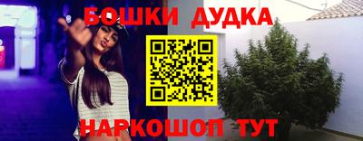 прущие грибы Краснознаменск