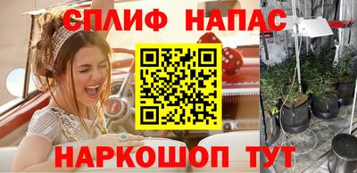 прущие грибы Краснознаменск