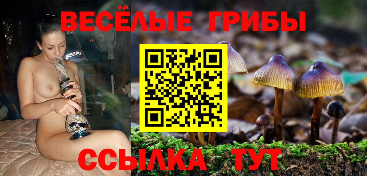 Псилоцибиновые грибы MAGIC MUSHROOMS  Вход с VPN  Бирск 